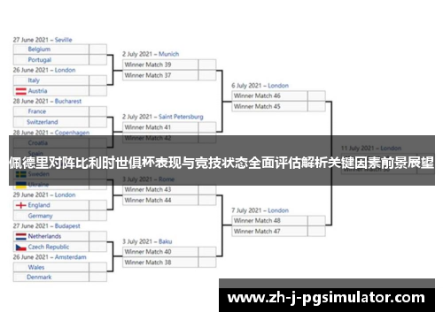 佩德里对阵比利时世俱杯表现与竞技状态全面评估解析关键因素前景展望