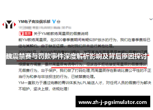 魏震禁赛与罚款事件深度解析影响及背后原因探讨